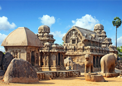 Package Image