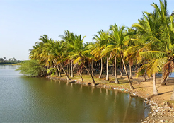 Package Image