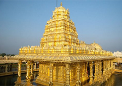 Package Image